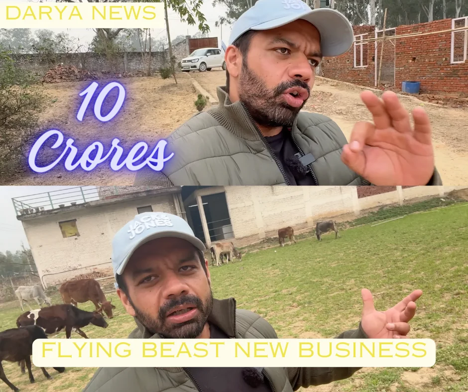 flying beast new business